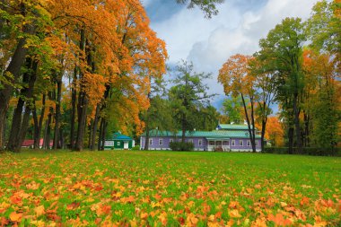 Gayrimenkulün parkta yaşlı ağaçlar