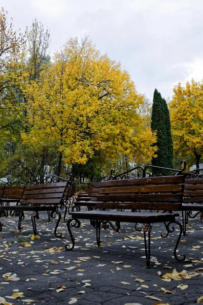 Rows of benches of the summer theater in autumn. — Stock Photo, Image