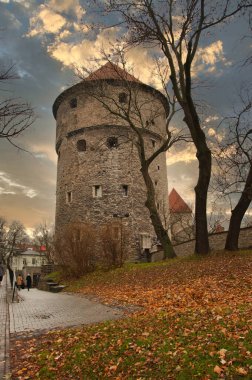 Tallinn 'deki Islak Sokak