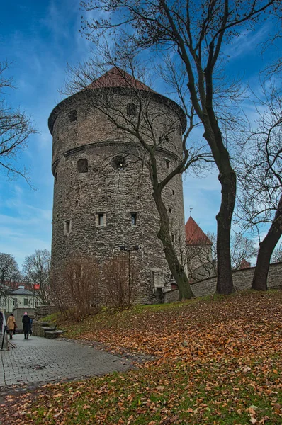 Strada bagnata a Tallinn — Foto Stock