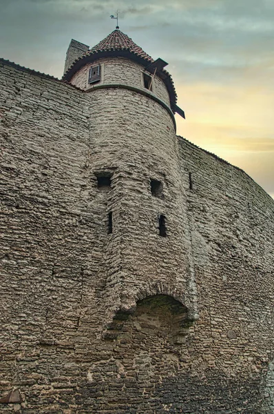 Strada bagnata a Tallinn — Foto Stock