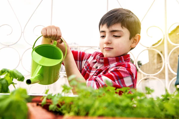밖에서 정원을 가꾸는 어린이들 — 스톡 사진
