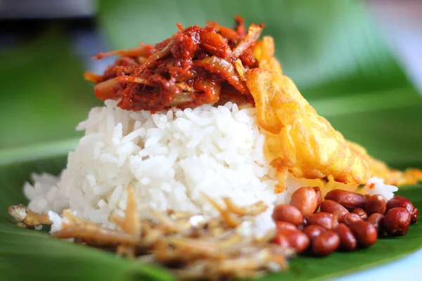 Nasi Lemak Kelapa Malaysia Tradisional — Stok Foto