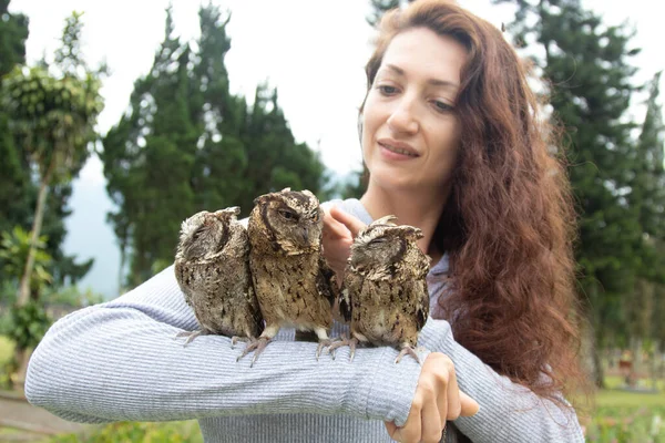 Girl Holds Three Owls Her Hand Bird Feathers Animal Wings — Stock Photo, Image