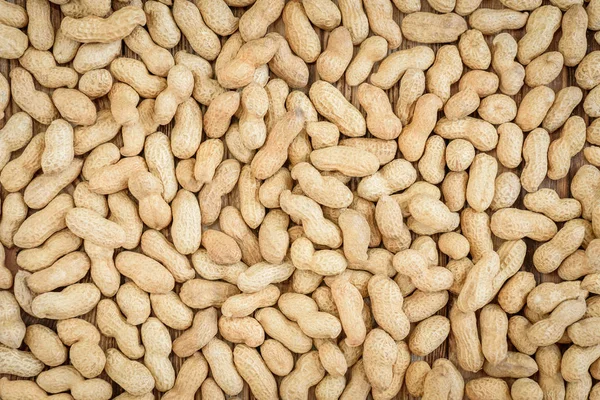 Kacang Diisolasi Pada Latar Belakang Putih — Stok Foto