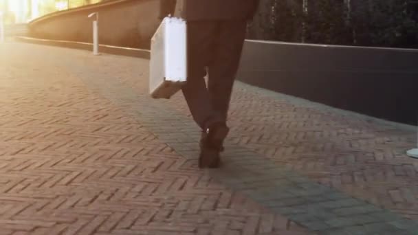 Homme Avec Une Valise Main Marche Dans Rue — Video