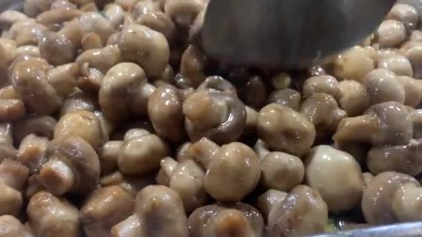 Nombreux Champignons Marinés Gros Plan — Video