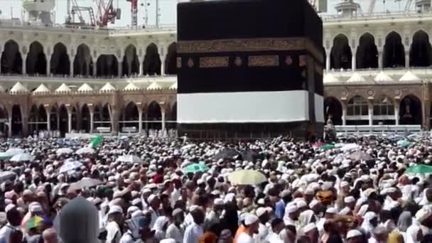 Coab Sanktuarium Muzułmańskie Islam — Wideo stockowe