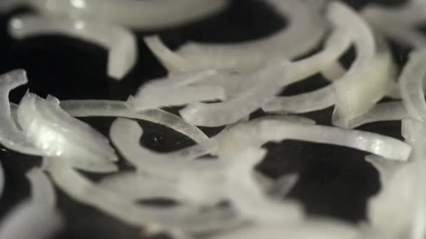 Processus Friture Des Oignons Dans Une Casserole — Video