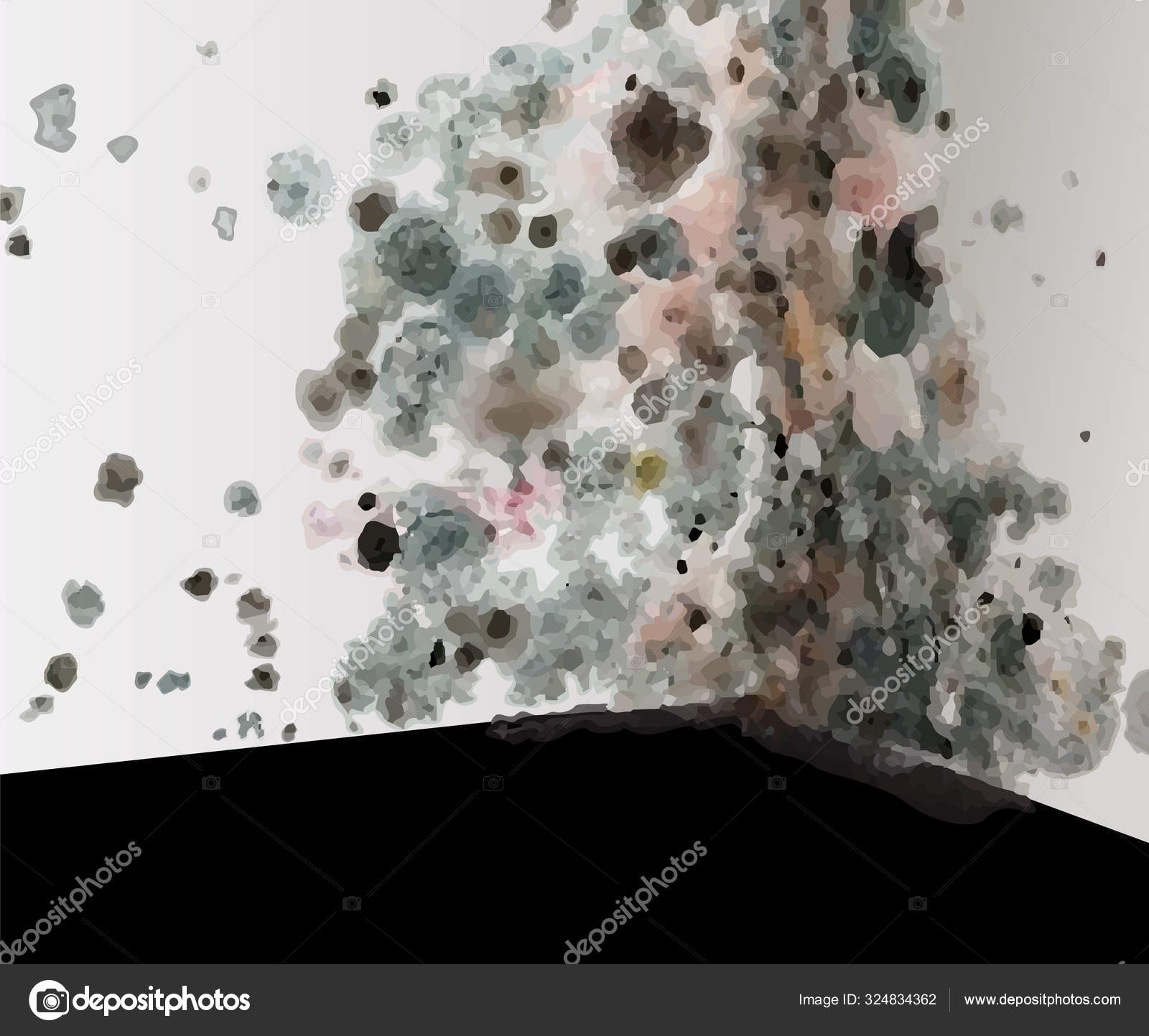 Плесневые грибки – aspergillus, fusion. Плесневые гриб черная плесень. Обнаружение плесени. Условия развития плесневых грибов. Средства для борьбы с плесенью.