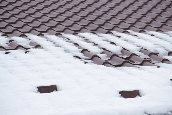 зимняя птица на ветке
