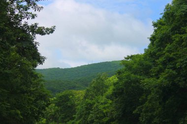 Dünyanın doğası olduğu