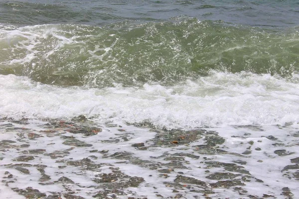 Sea wave och havet skum — Stockfoto