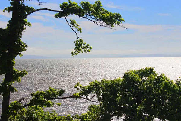 Mer et îles — Photo