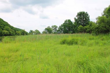 Dünyanın doğası olduğu