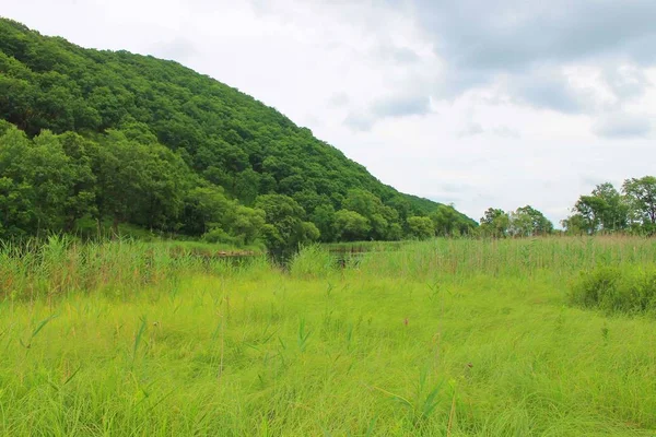 Dünyanın doğası olduğu