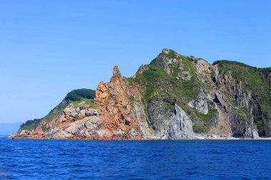 Cliff bitki örtüsü ile