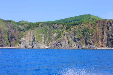 Cliff bitki örtüsü ile