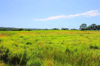 Dünyanın doğası olduğu