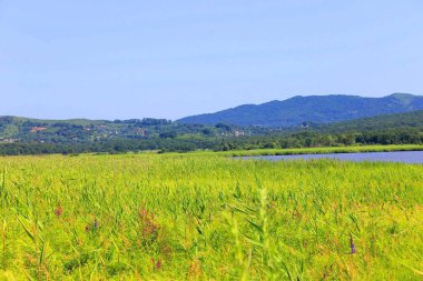 Dünyanın doğası olduğu