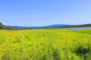 Dünyanın doğası olduğu