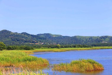 Dünyanın doğası olduğu