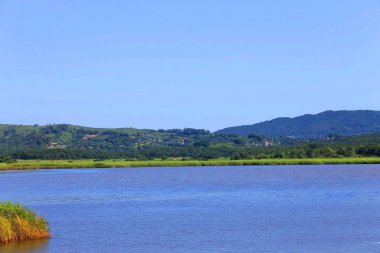 Dünyanın doğası olduğu