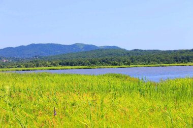 Dünyanın doğası olduğu