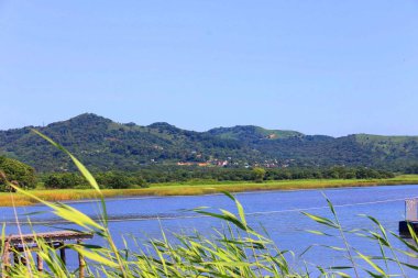 Dünyanın doğası olduğu