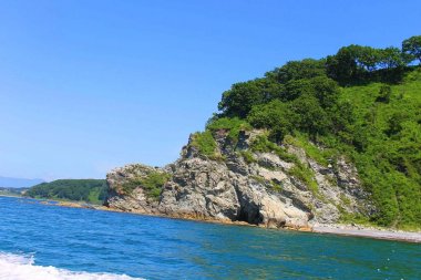 Cliff bitki örtüsü ile