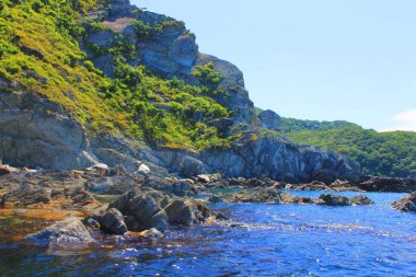 Cliff bitki örtüsü ile