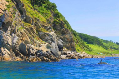 Cliff bitki örtüsü ile