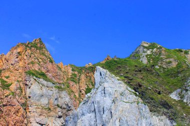 Cliff bitki örtüsü ile