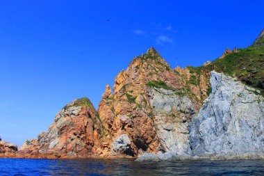 Cliff bitki örtüsü ile