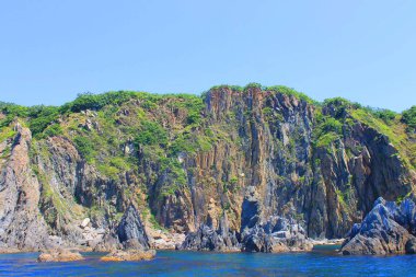 Cliff bitki örtüsü ile