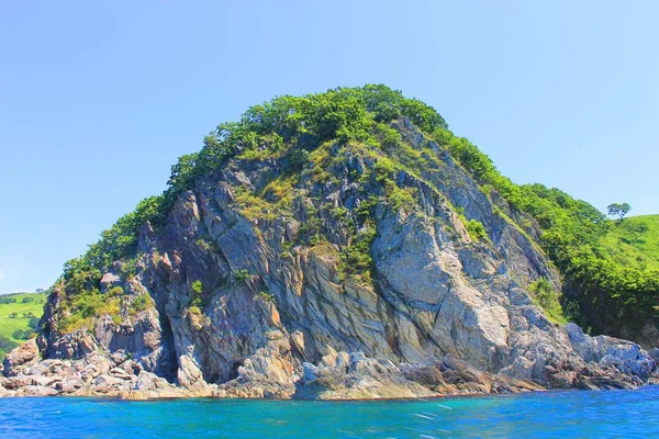 Cliff bitki örtüsü ile