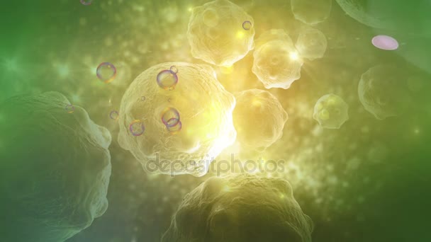 Cellule tumorali su sfondo immagine del cancro — Video Stock