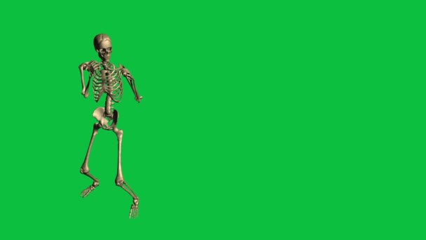 Boxe de esqueleto - Separado na tela verde — Vídeo de Stock