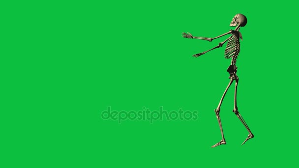 Caratê de exercício de esqueleto - Separado na tela verde — Vídeo de Stock
