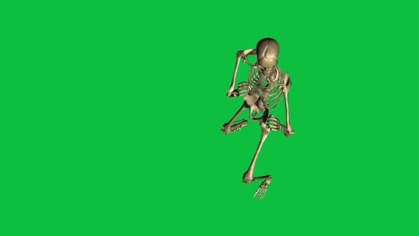 Boxe de esqueleto - Separado na tela verde — Vídeo de Stock