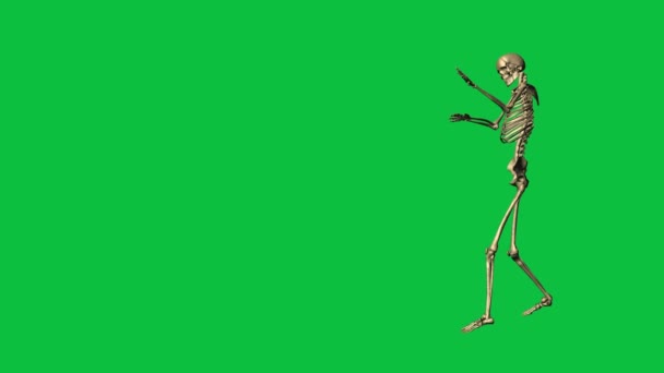 骷髅练习空手道 在绿色屏幕上分开 — 图库视频影像
