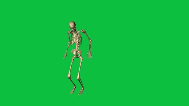 Skeleton Accident Fall Separate Green Screen — Stock Video