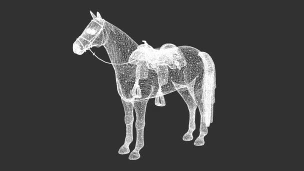 Rotation of wire frame isolated horse on black screen — Stock Video