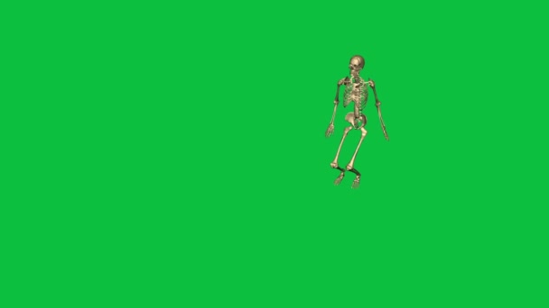 Skeleton Salto Horizontal Separado Pantalla Verde — Vídeos de Stock