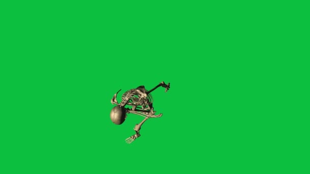 Tiro de refém esqueleto - separado na tela verde — Vídeo de Stock