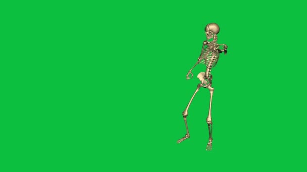 Skeleton Give Command German Salute Separate Green Screen — Stock Video