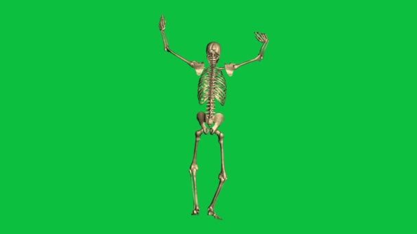 Skeleton Surrender Oddzielne Zielonym Ekranie — Wideo stockowe
