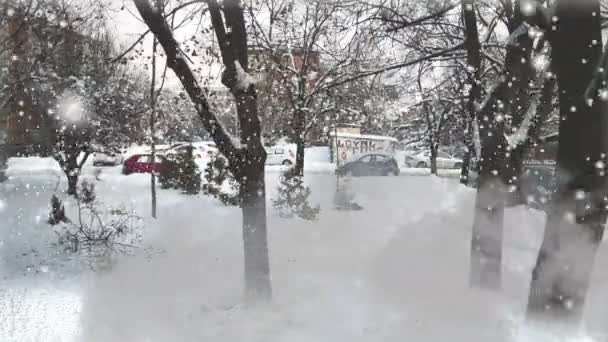 Árvores nevadas no inverno — Vídeo de Stock