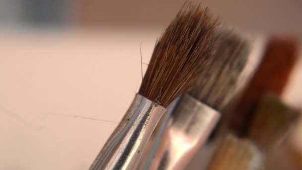 Beaucoup de brosses différentes — Video