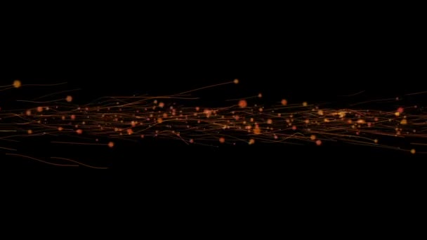 Particles floating on black — Stock Video
